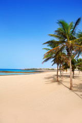 Fototapeta na wymiar Arrecife Lanzarote Playa Reducto plaża palmy