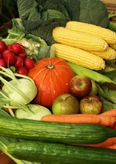Frisches Bio - Obst und Gemüse
