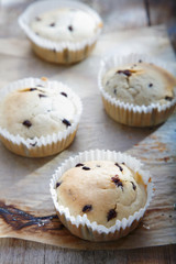 Fresh choc chip cupcakes