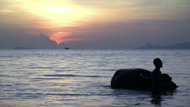 Sunset mit Wasserbueffel und Faehre