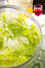 Green lettuce, green lettuce in slad bowl
