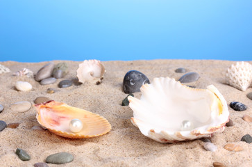 Fototapeta na wymiar Sea shells with pearl on sand