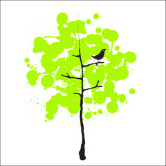 Bird and trees