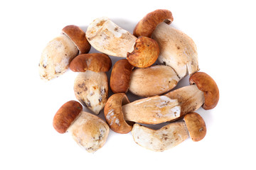 Mashrooms