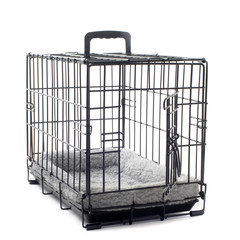 pet carrier with cushion