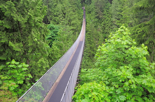 Capilano Bridge. North Vancouver.