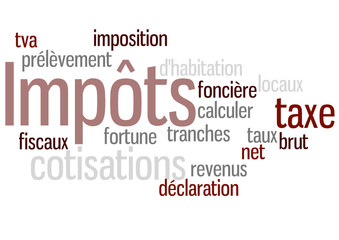 Nuage de Mot : Impôts