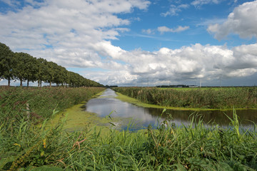 Obraz premium Canal through the countryside in summer