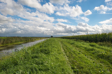 Canal through the countryside in summer