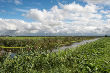 Canal through the countryside in summer