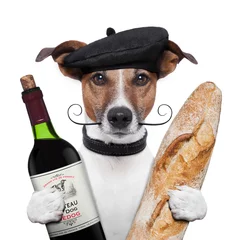 Papier Peint photo Lavable Chien fou béret baguette vin chien français