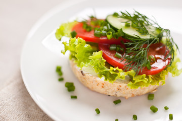 Fototapeta na wymiar Sandwich with vegetables