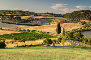 Tuscan country near Pienza, Tuscany, Italy