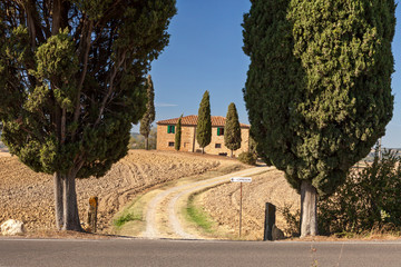 Fototapeta na wymiar Tuscan countryside near Pienza, Tuscany, Italy