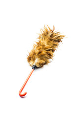 feather is broom  isolated on.