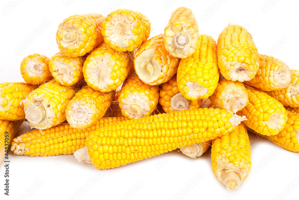 Canvas Prints Fresh corn