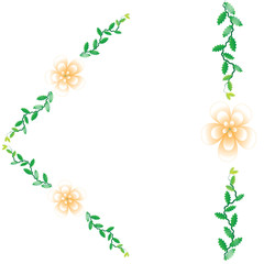 Flower of frame on white background