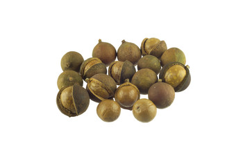 macademia nut isolated on white background