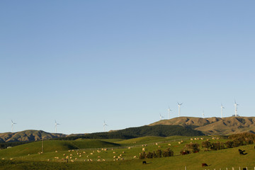 Obraz premium Wind turbines