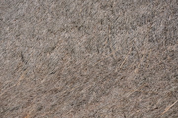 Dry grass background, natural roofing