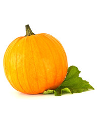 Fresh pumpkin with leaves isolated on white