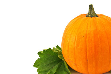Fresh pumpkin with leaves isolated on white
