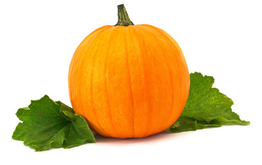 Fresh pumpkin with leaves isolated on white