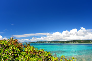 Fototapeta na wymiar コマカ島の綺麗な海と夏空