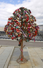 Love tree on the Luzhkov Bridge. Moscow, Russia