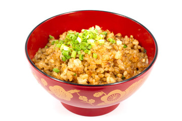 Garic fried with rice japan food