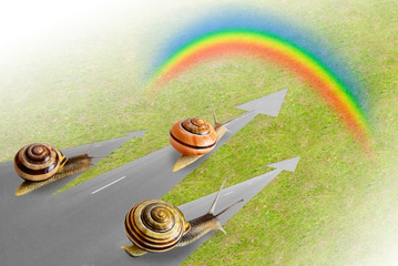 Snail crawling to the rainbow