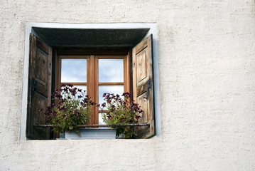Fototapeta na wymiar okno z kwiatami
