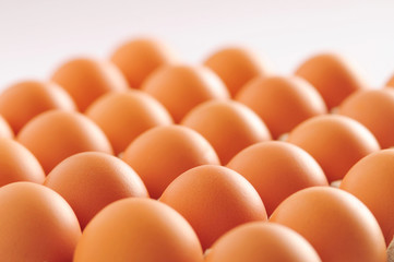 Chicken eggs on white background