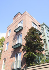Magnolia Tree by Classic Brick Building