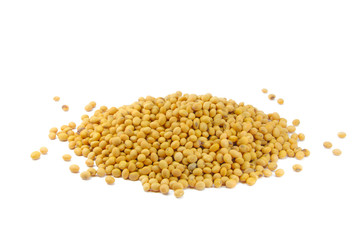 soybean