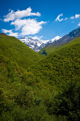 Fototapeta premium Majella innevata vista dalla faggetta, Abruzzo