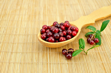 Lingonberry in a spoon on a bamboo mat