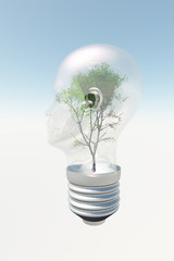 Human head light bulb with tree contained therein