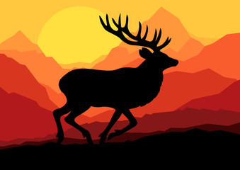 Deer in wild nature forest landscape background vector