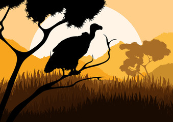 Vulture bird hunting in wild nature landscape vector