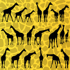 Fototapeta na wymiar Giraffe szczegółowe tła sylwetki wektor