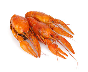 Three boiled crayfishes
