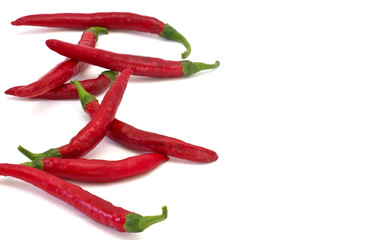 Chili pepper isolated on white background