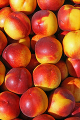 red and yellow pears for sale at the fruit market