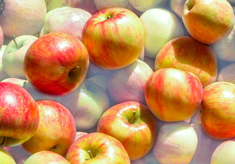 Apples