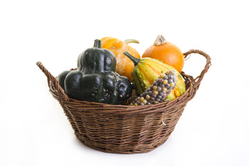 Zierkürbisse im Weidenkorb