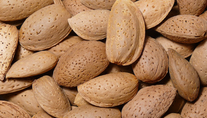 Almonds background