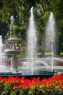 fountain and red flowers