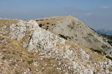 Montagne de l'Audibergue (alt 1642 m)