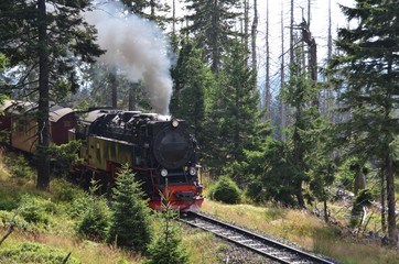 Dampflokomotive